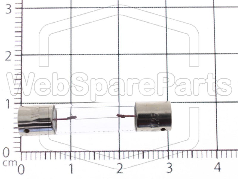 Incandescent Lamp Axial 6.3 Volts 250mA Ø 6.3 mm x 31 mm - WebSpareParts